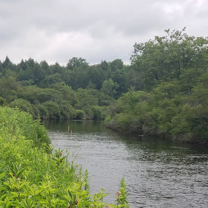Spruce Creek Campground Picture 5