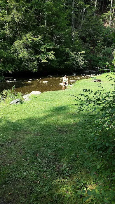Cedar Valley Campsite Picture 4