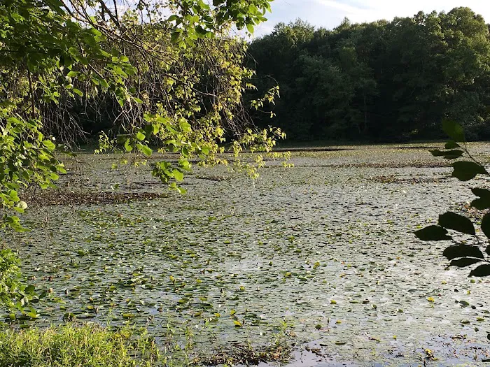 Oak Hill - MA Picture 2