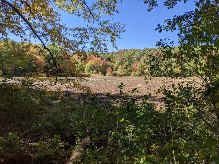 Oak Hill - MA Picture 5