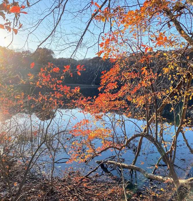 Oak Hill - MA Picture 6