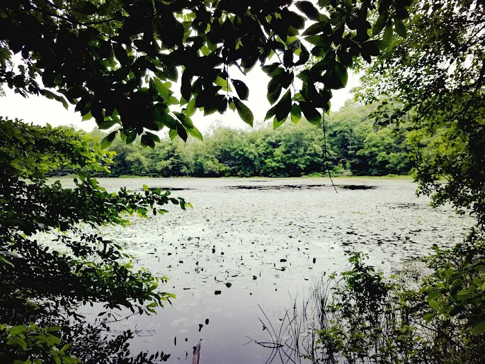 Oak Hill - MA Picture 9