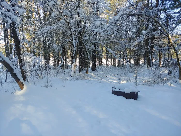 Stoney Pond Campground Picture 3