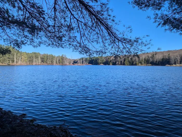 Stoney Pond Campground Picture 5
