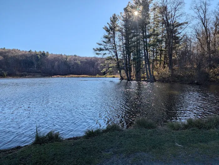 Stoney Pond Campground Picture 4