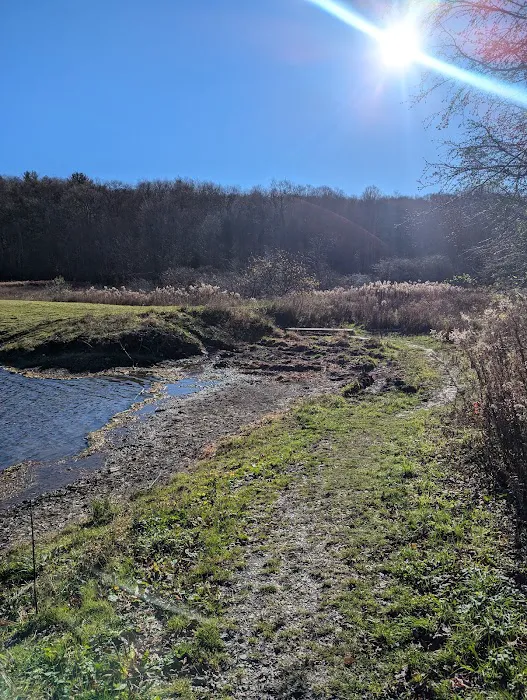 Stoney Pond Campground Picture 6