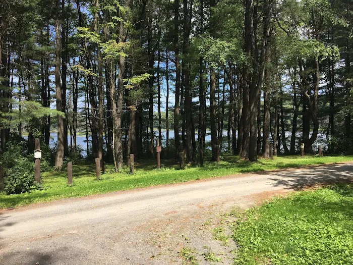 Stoney Pond Campground Picture 8