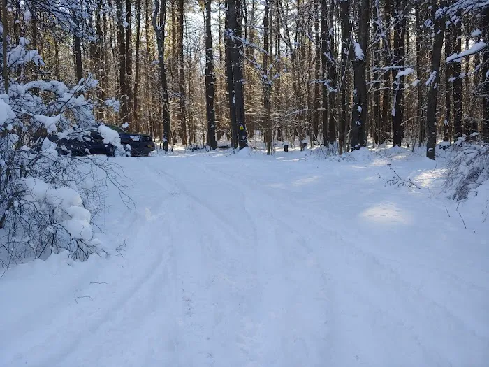 Stoney Pond Campground Picture 10