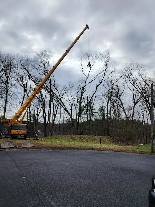 Meadow Woods MHC Picture 8