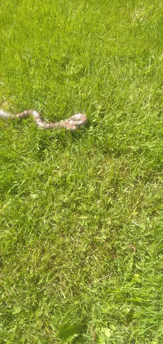 Suburban Village Mobile Home Park Picture 5