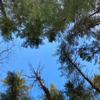 Grassmere Park Campground ico