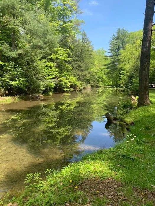 Grassmere Park Campground Picture 6