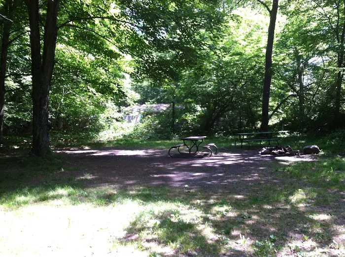 Grassmere Park Campground Picture 8