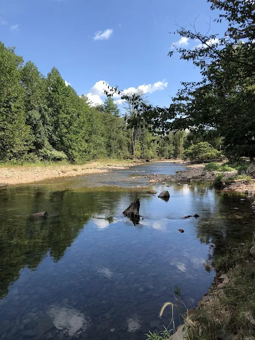 Grassmere Park Campground Picture 7