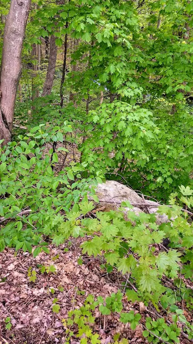 Littleton Motor Court Picture 9