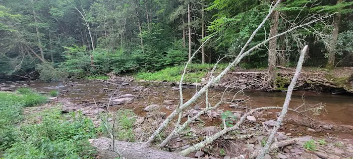 Hemlock Valley Campground Picture 7