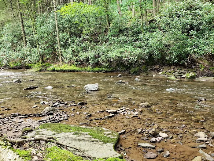 Hemlock Valley Campground Picture 9
