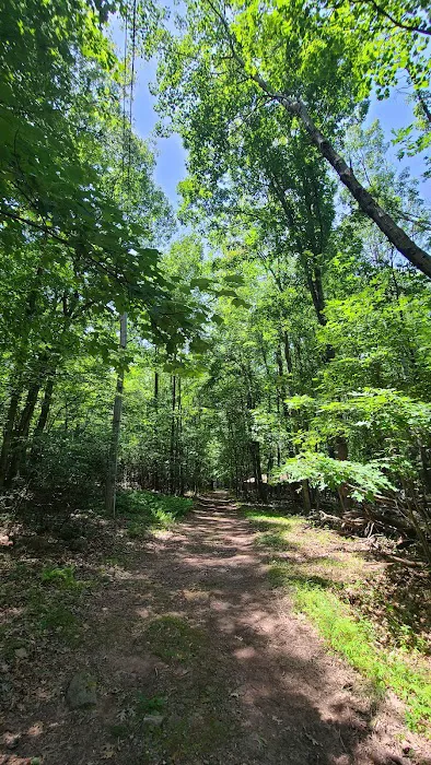 Navesink Campsite HMSR 2024 Picture 4
