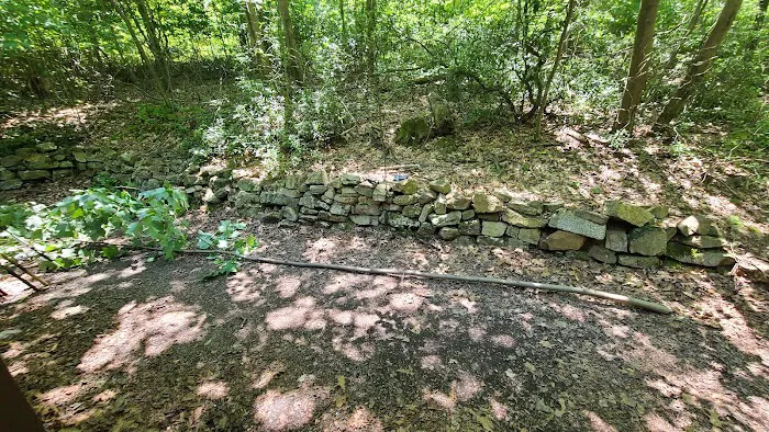 Navesink Campsite HMSR 2024 Picture 7