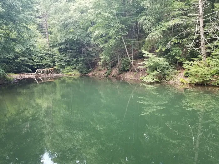 Hertlein Campsite Picture 1