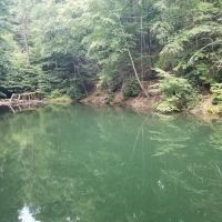 Hertlein Campsite ico