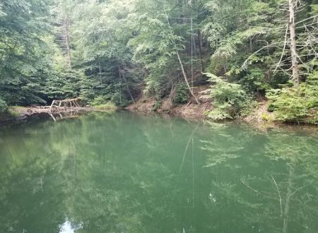 Hertlein Campsite