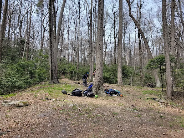 Hertlein Campsite Picture 6