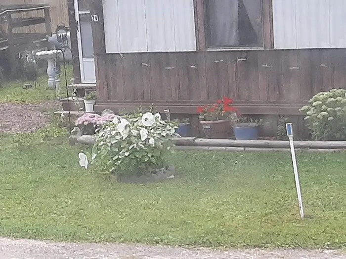 Blue Spruce Senior Mobile Home Park Picture 10