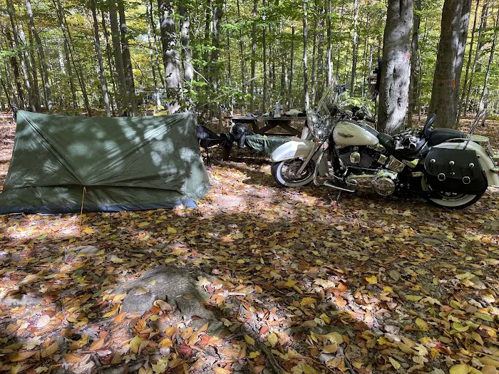Pioneer Campground Picture 9