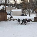 Silver Rock Mobile Home Park