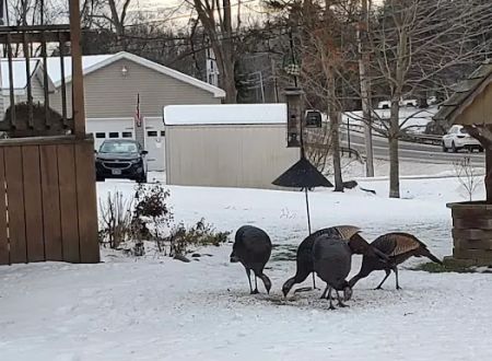 Silver Rock Mobile Home Park