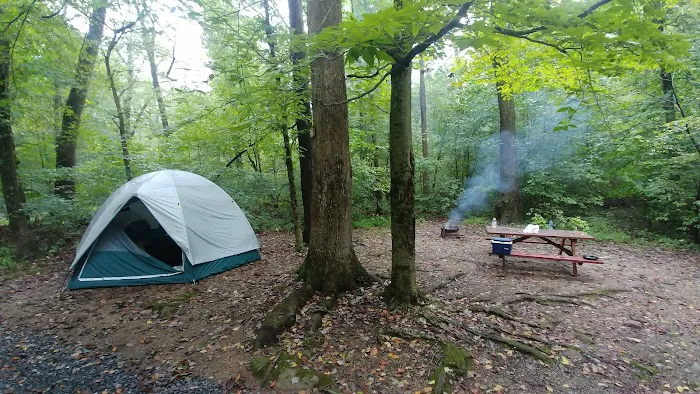 Pinch Pond Family Campground Picture 3