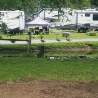 Thousand Trails Campground ico