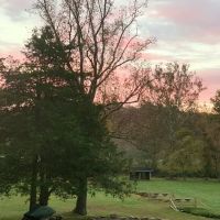 Shiloh Valley Camping ico