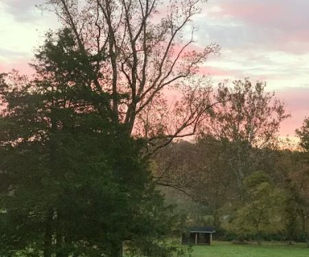 Shiloh Valley Camping
