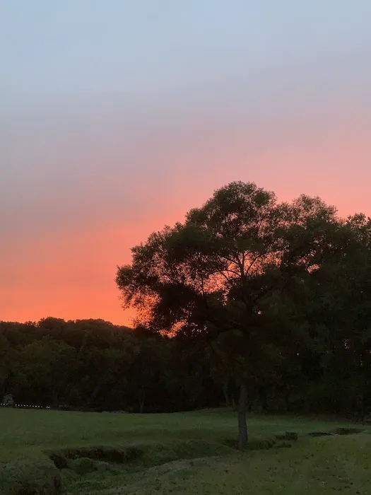 Shiloh Valley Camping Picture 4