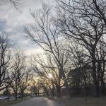 Whispering Pines