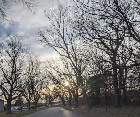 Whispering Pines