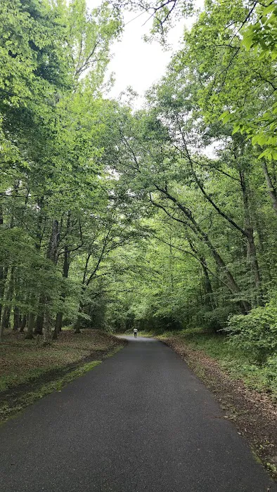 Tuckahoe State Park Campground Picture 1
