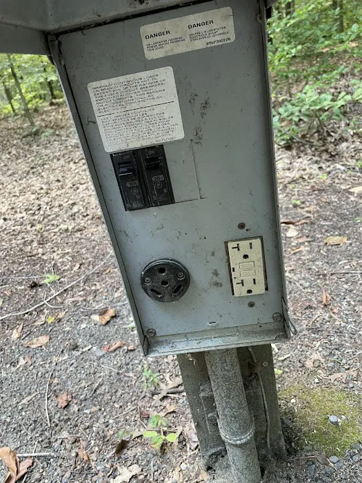 Tuckahoe State Park Campground Picture 6