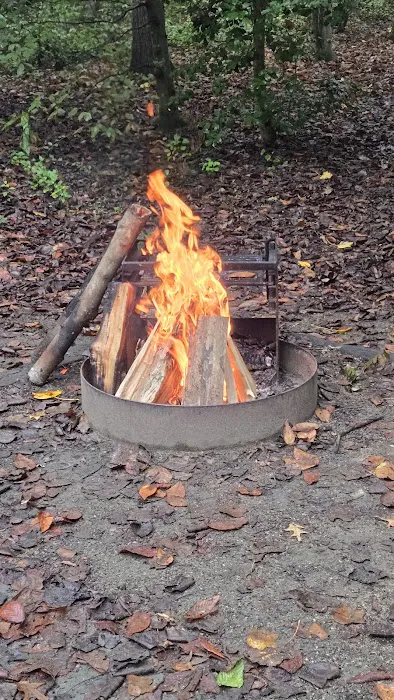 Tuckahoe State Park Campground Picture 7