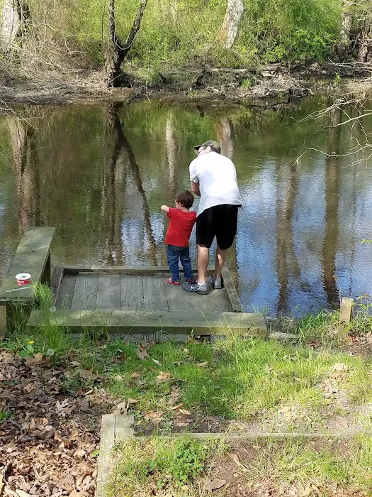 Holiday Park Campground Picture 5