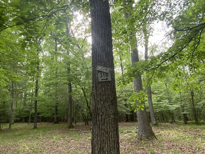 Holiday Park Campground Picture 7