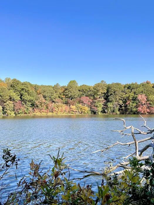 Killens Pond State Park Campground Entrance Picture 8