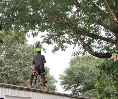 Walkers Mill Mobile Home Park