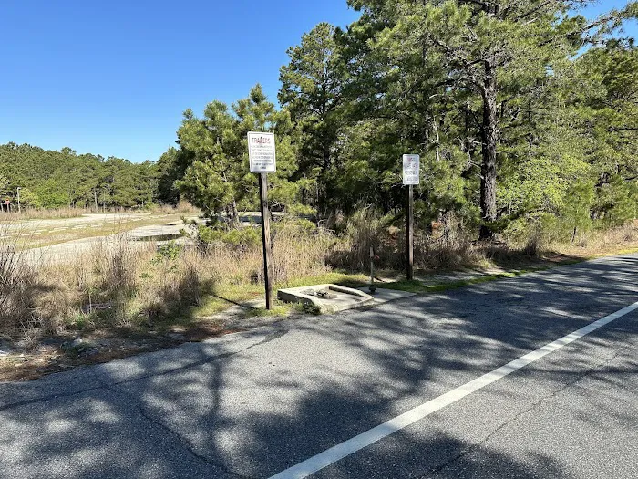 Cape Henlopen State Park Campground Picture 2