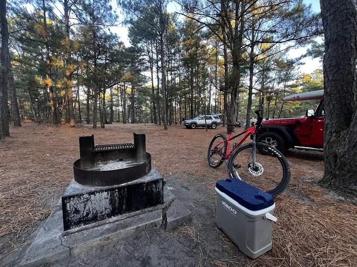 Cape Henlopen State Park Campground Picture 3