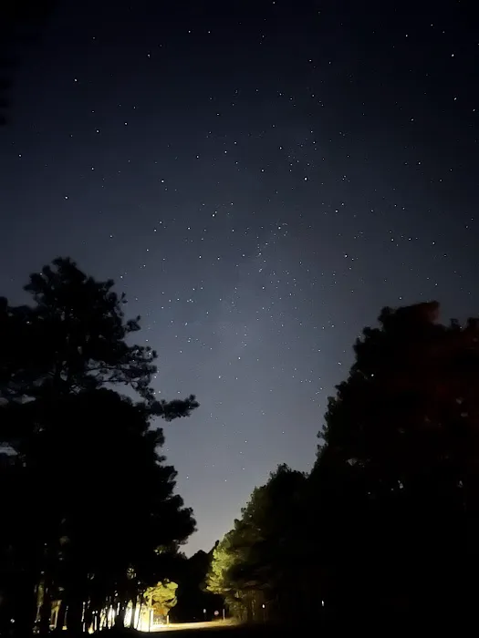 Cape Henlopen State Park Campground Picture 5