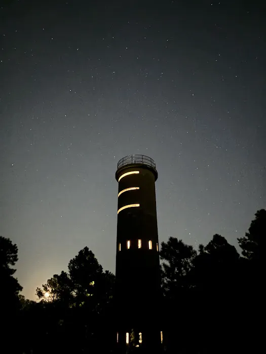 Cape Henlopen State Park Campground Picture 4