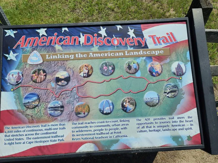 Cape Henlopen State Park Campground Picture 8
